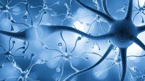 Finding Relief from Nerve Pain: A Complete Guide to Natural Neuropathy Treatment
