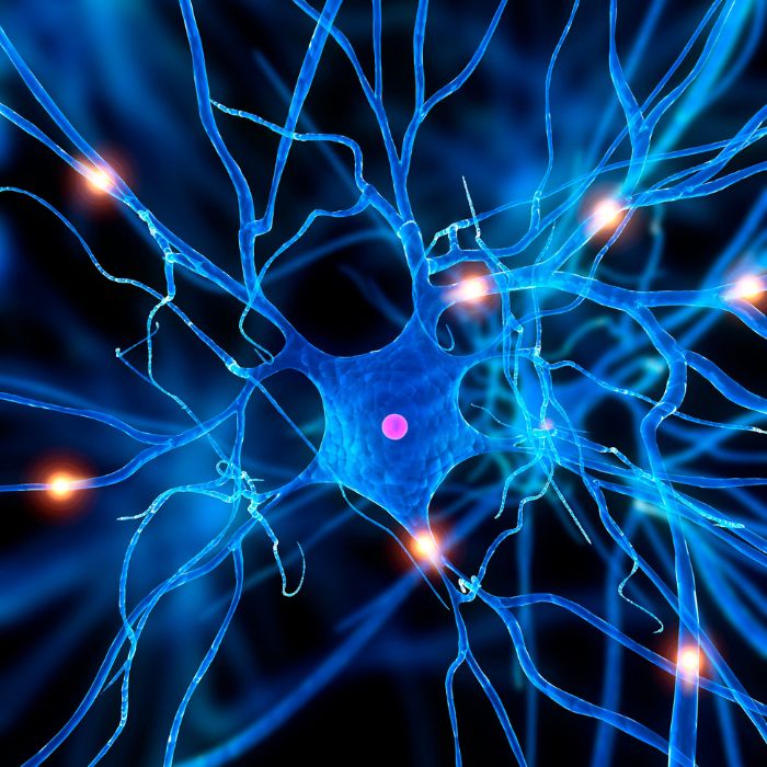 Illustration of a glowing blue neuron network, with a central neuron cell body emitting light. Dendrites extend outward, indicating connectivity.